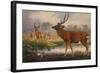 The Mantchurian Deer, Cervus Mantchurias, Zoological Sketches, 1856-Joseph Wolf-Framed Giclee Print