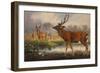 The Mantchurian Deer, Cervus Mantchurias, Zoological Sketches, 1856-Joseph Wolf-Framed Giclee Print