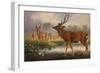 The Mantchurian Deer, Cervus Mantchurias, Zoological Sketches, 1856-Joseph Wolf-Framed Giclee Print