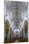 The Manueline and Portuguese Baroque Cathedral Church of Our Lady of the Assumption-Alex Robinson-Mounted Photographic Print