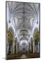 The Manueline and Portuguese Baroque Cathedral Church of Our Lady of the Assumption-Alex Robinson-Mounted Photographic Print