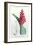 The Many-Spiked Billbergia-null-Framed Art Print