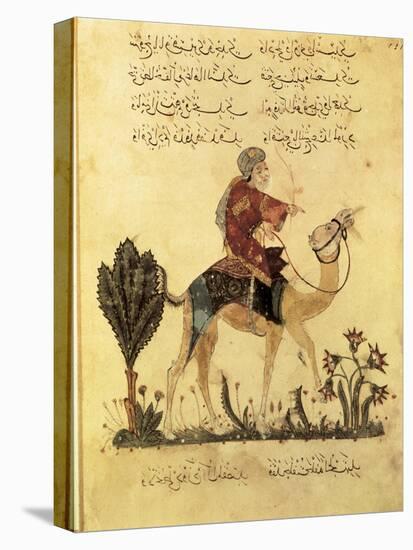 "The Maqamat" (The Assemblies of Al-Hariri), Characteristic Genre of the Medieval Arabic Literature-Yahya ibn Mahmud Al-Wasiti-Stretched Canvas