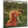 The March Marigold, C.1870-Edward Burne-Jones-Mounted Giclee Print