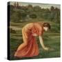 The March Marigold, C.1870-Edward Burne-Jones-Stretched Canvas