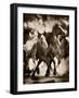 The March-David Drost-Framed Photographic Print