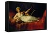 The Marchioness of Santa Cruz, 1805, Spanish School-Francisco de Goya-Framed Stretched Canvas