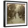 The Mardyke, Cork, Ireland-BW Kilburn-Framed Photographic Print