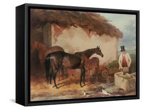 The Mare 'Perhaps' with Her Foal, 1846-Harry Hall-Framed Stretched Canvas