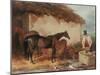 The Mare 'Perhaps' with Her Foal, 1846-Harry Hall-Mounted Giclee Print