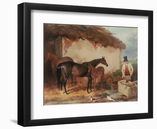 The Mare 'Perhaps' with Her Foal, 1846-Harry Hall-Framed Premium Giclee Print