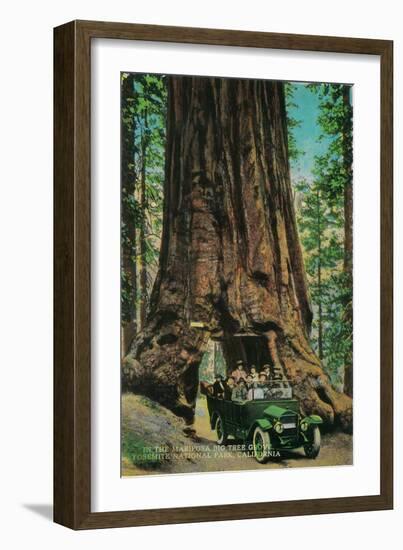 The Mariposa Big Tree Grove, Yosemite - Yosemite, CA-Lantern Press-Framed Art Print