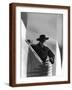 Brown Frame