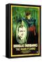 The Mark of Zorro Movie Douglas Fairbanks Poster Print-null-Framed Stretched Canvas