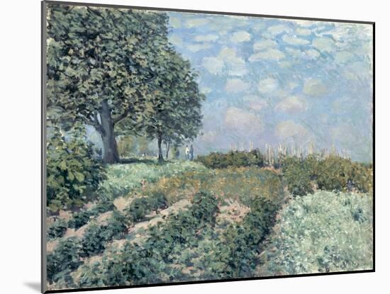 The Market Gardens, 1874-Alfred Sisley-Mounted Giclee Print