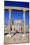 The Market, Leptis Magna, Libya, C3rd Century Ad. Pillars in the Ancient Roman City-Vivienne Sharp-Mounted Photographic Print