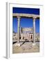 The Market, Leptis Magna, Libya, C3rd Century Ad. Pillars in the Ancient Roman City-Vivienne Sharp-Framed Photographic Print