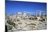 The Market, Leptis Magna, Libya-Vivienne Sharp-Mounted Photographic Print