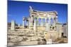 The Market, Leptis Magna, Libya-Vivienne Sharp-Mounted Photographic Print