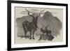 The Markore, Capra Megaceros-null-Framed Giclee Print