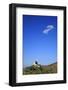 The Marksburg High Above Braubach at River Rhine-Uwe Steffens-Framed Photographic Print