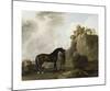 The Marquess of Rockingham's Arabian Stallion (led by a Groom at Creswell Crags)-George Stubbs-Mounted Premium Giclee Print