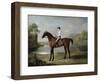 The Marquess of Rockingham's "Scrub", with John Singleton Up, 1762-George Stubbs-Framed Giclee Print