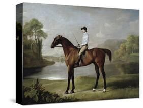 The Marquess of Rockingham's "Scrub", with John Singleton Up, 1762-George Stubbs-Stretched Canvas