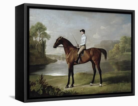 The Marquess of Rockingham's "Scrub", with John Singleton Up, 1762-George Stubbs-Framed Stretched Canvas