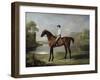 The Marquess of Rockingham's "Scrub", with John Singleton Up, 1762-George Stubbs-Framed Giclee Print