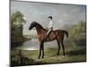 The Marquess of Rockingham's "Scrub", with John Singleton Up, 1762-George Stubbs-Mounted Giclee Print