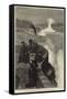 The Marquis and Marchioness of Lorne (Princess Louise) at Niagara Falls, Canada-null-Framed Stretched Canvas