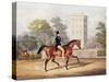 The Marquis of Anglesea on Horseback in Hyde Park, in His 80th Year, Engraved by J. Harris, 1847-George Henry Laporte-Stretched Canvas