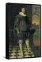 The Marquis of Hamilton (1589-1625)-Daniel Mytens-Framed Stretched Canvas