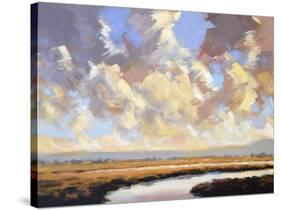 The Marsh 3-Robert Seguin-Stretched Canvas