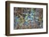 The Marsh-Danny Head-Framed Photographic Print