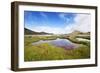 The Marshland, Surrounded by Rheolite Mountains in Landmannarlaugar National Park, Iceland-Corepics-Framed Photographic Print