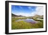 The Marshland, Surrounded by Rheolite Mountains in Landmannarlaugar National Park, Iceland-Corepics-Framed Photographic Print