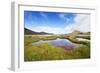 The Marshland, Surrounded by Rheolite Mountains in Landmannarlaugar National Park, Iceland-Corepics-Framed Photographic Print