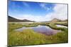 The Marshland, Surrounded by Rheolite Mountains in Landmannarlaugar National Park, Iceland-Corepics-Mounted Photographic Print