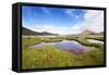 The Marshland, Surrounded by Rheolite Mountains in Landmannarlaugar National Park, Iceland-Corepics-Framed Stretched Canvas