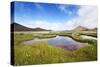 The Marshland, Surrounded by Rheolite Mountains in Landmannarlaugar National Park, Iceland-Corepics-Stretched Canvas