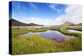 The Marshland, Surrounded by Rheolite Mountains in Landmannarlaugar National Park, Iceland-Corepics-Stretched Canvas