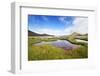 The Marshland, Surrounded by Rheolite Mountains in Landmannarlaugar National Park, Iceland-Corepics-Framed Photographic Print