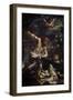 The Martyrdom of Saint Peter, End 1620S-Guercino-Framed Giclee Print