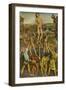 The Martyrdom of Saint Sebastian, 1475, (1911)-Antonio Del Pollaiuolo-Framed Giclee Print