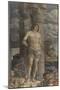 The Martyrdom of Saint Sebastian-Andrea Mantegna-Mounted Giclee Print