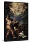 The Martyrdom of Saint Stephen, 1660-Pietro da Cortona-Framed Stretched Canvas