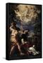 The Martyrdom of Saint Stephen, 1660-Pietro da Cortona-Framed Stretched Canvas