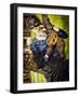 The Mask-Anna Mutwil-Framed Photographic Print